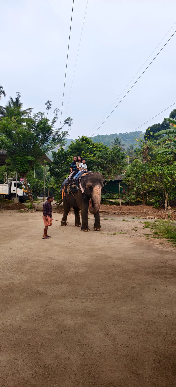 Elephant encounter
